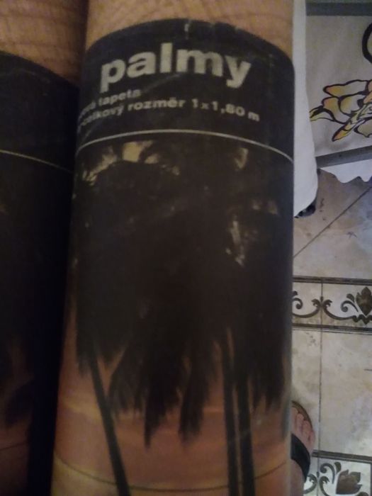 Фото обои пальма.