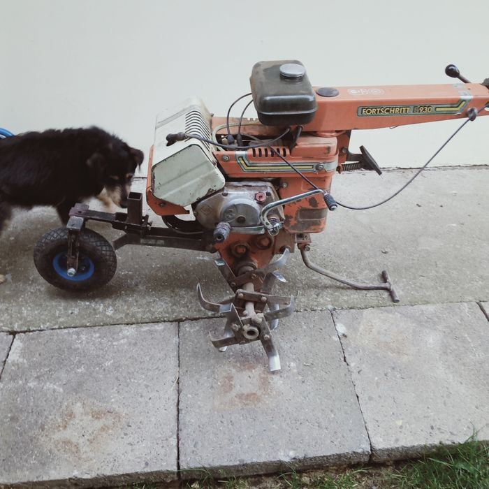 Glebogryzarka fortschritt z silnikiem Simsona