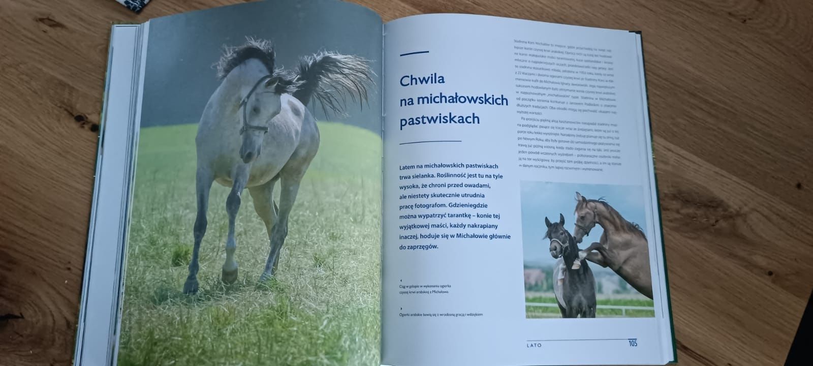 Atlas 'Konie'M. Mąkosa