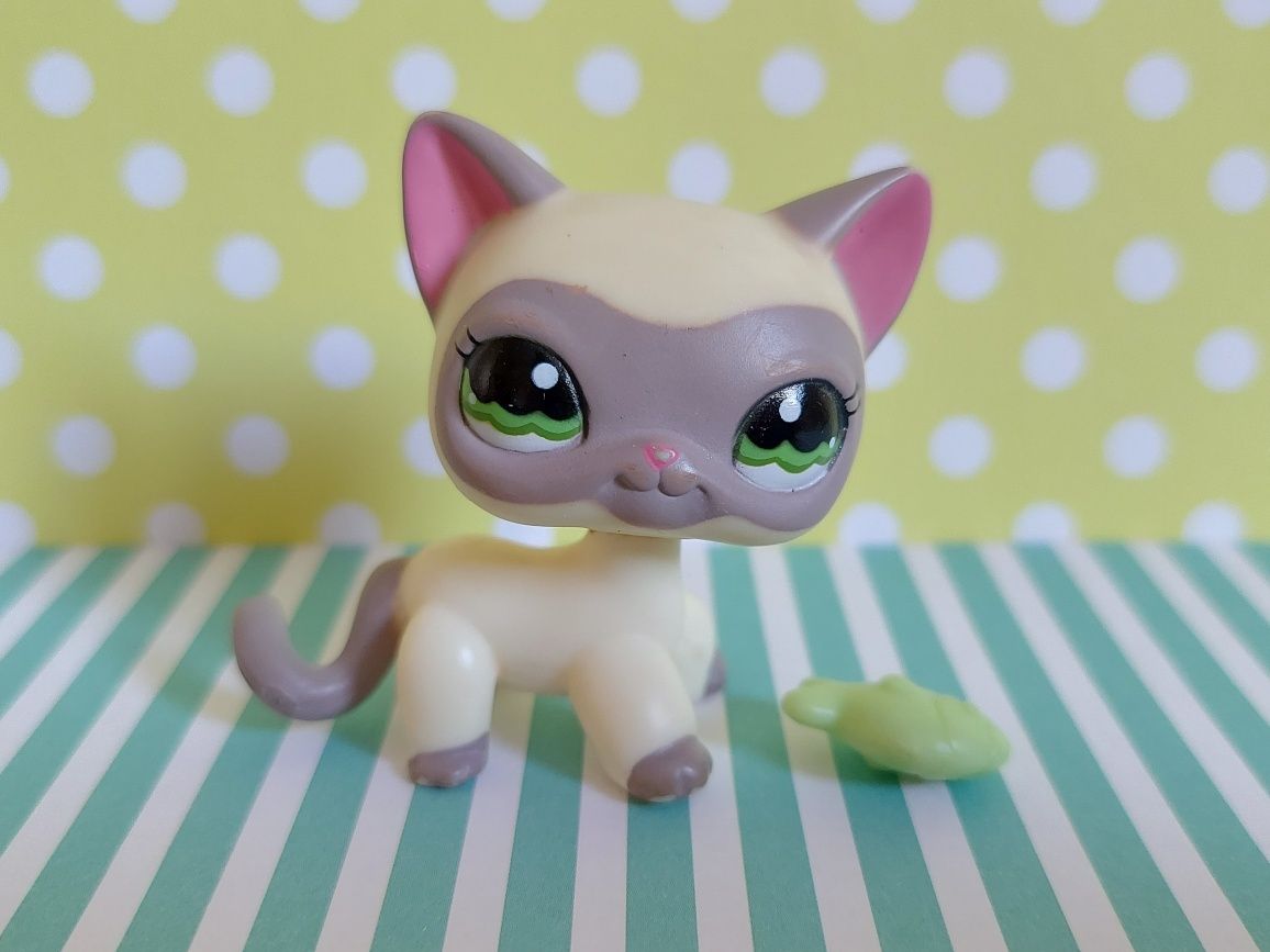 Littlest Pet Shop LPS unikatowy kot Shorthair #1116 pop