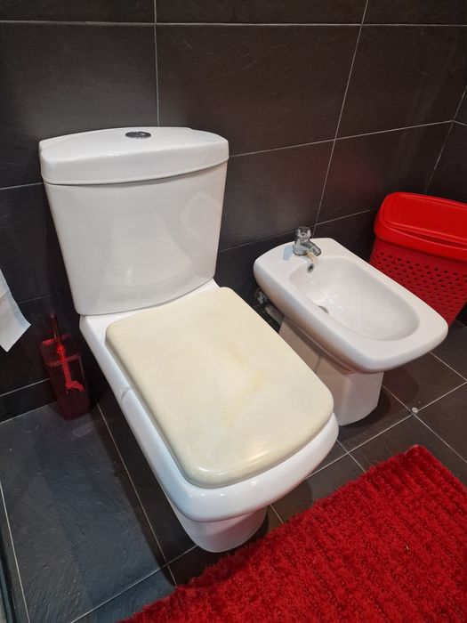 Sanita e bidé  em bom estado o tampo é que tem que ser substituído