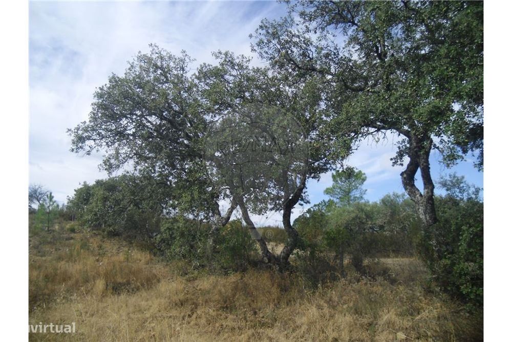 Quinta T0 para venda