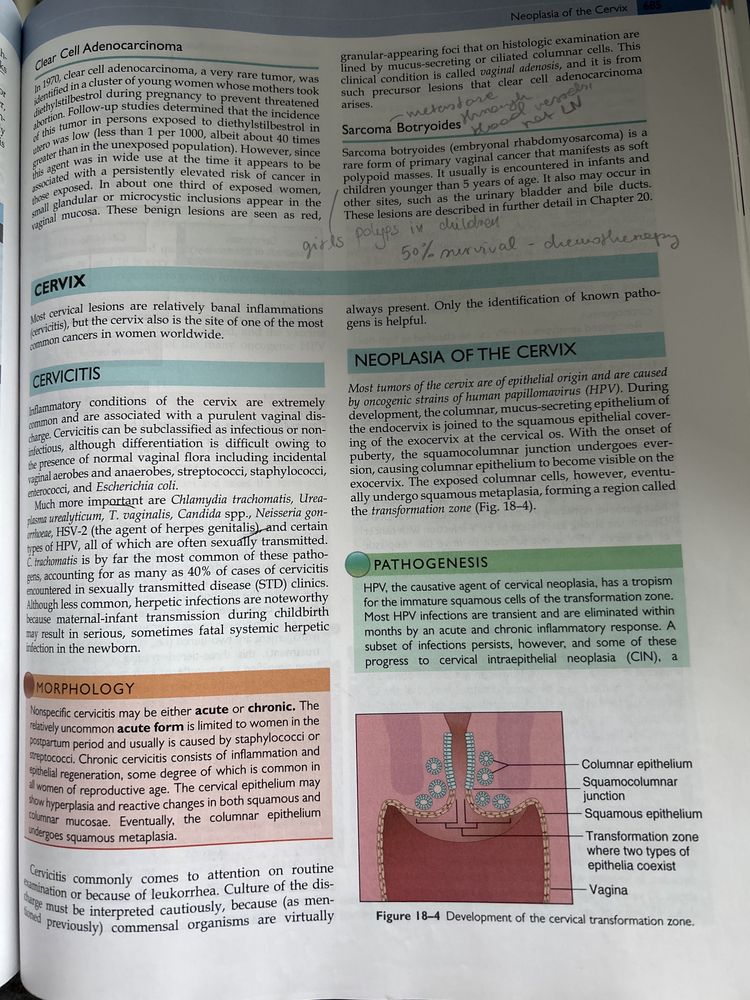 Robbins Basic Pathology