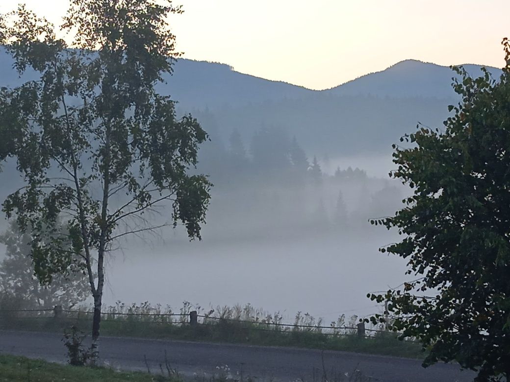 Продається земельна ділянка. (Торг можливий)