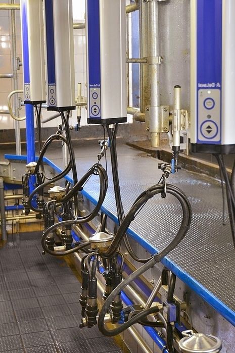 Hala udojowa DeLaval 2x4