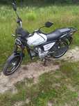 Musstang Alfa FiT MT125-8