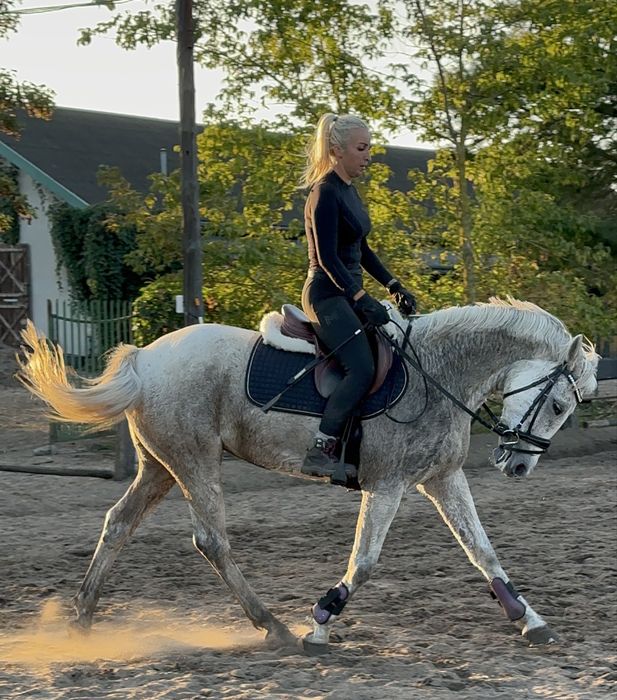 Spokojna Kucka D grupy