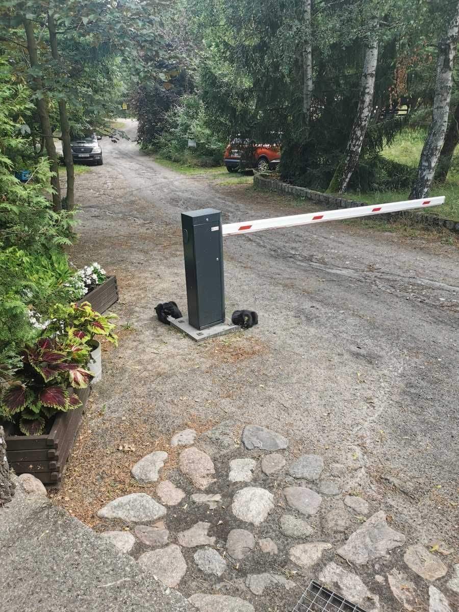 Sezonowe miejsce pod holenderkę nad Jeziorem Szarcz (Pszczew,Lubuskie)