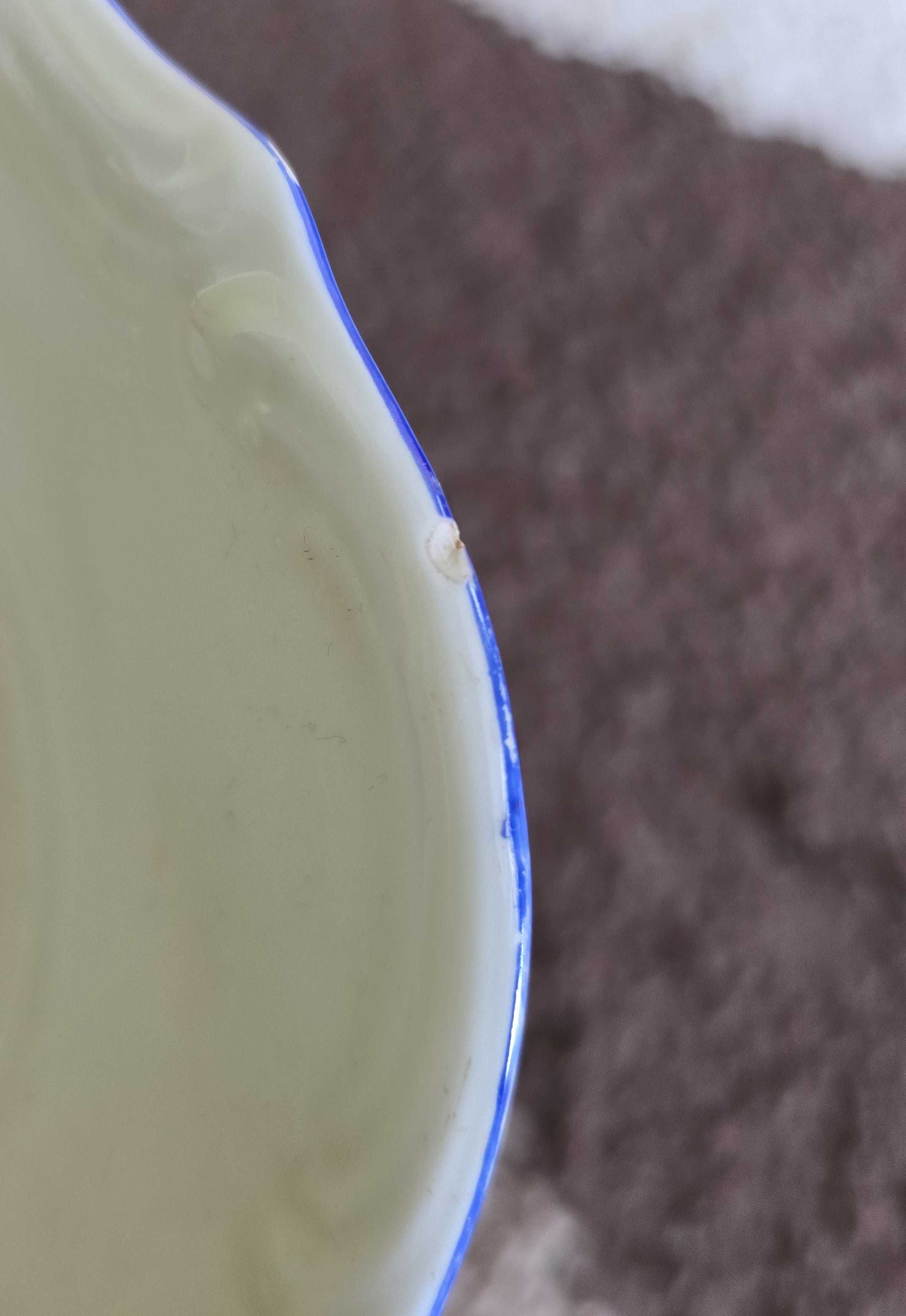 Serwis obiadowy (niepełny) porcelana Bogucice, 11 elementów