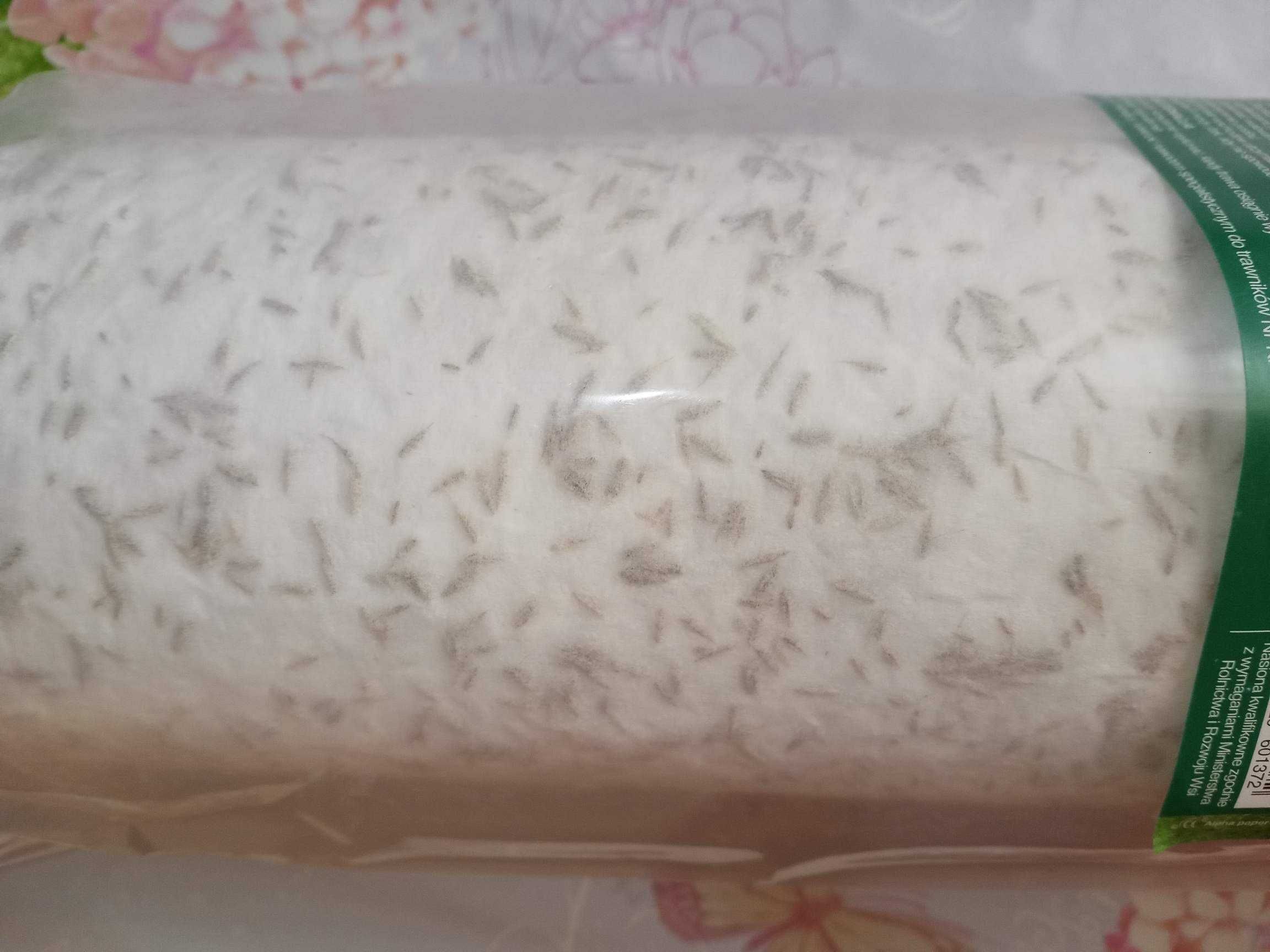 Trawa na rolce dekoracyjna ogrodowa 10 m² 0,4 kg