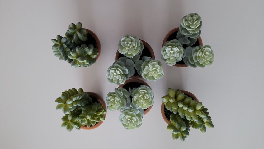 Zestaw 6 sztucznych sukulentów roślin roślinek w doniczkach Home&You