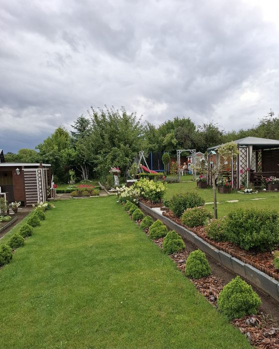 Piękna działka ROD z widokiem na jezioro 437 m2