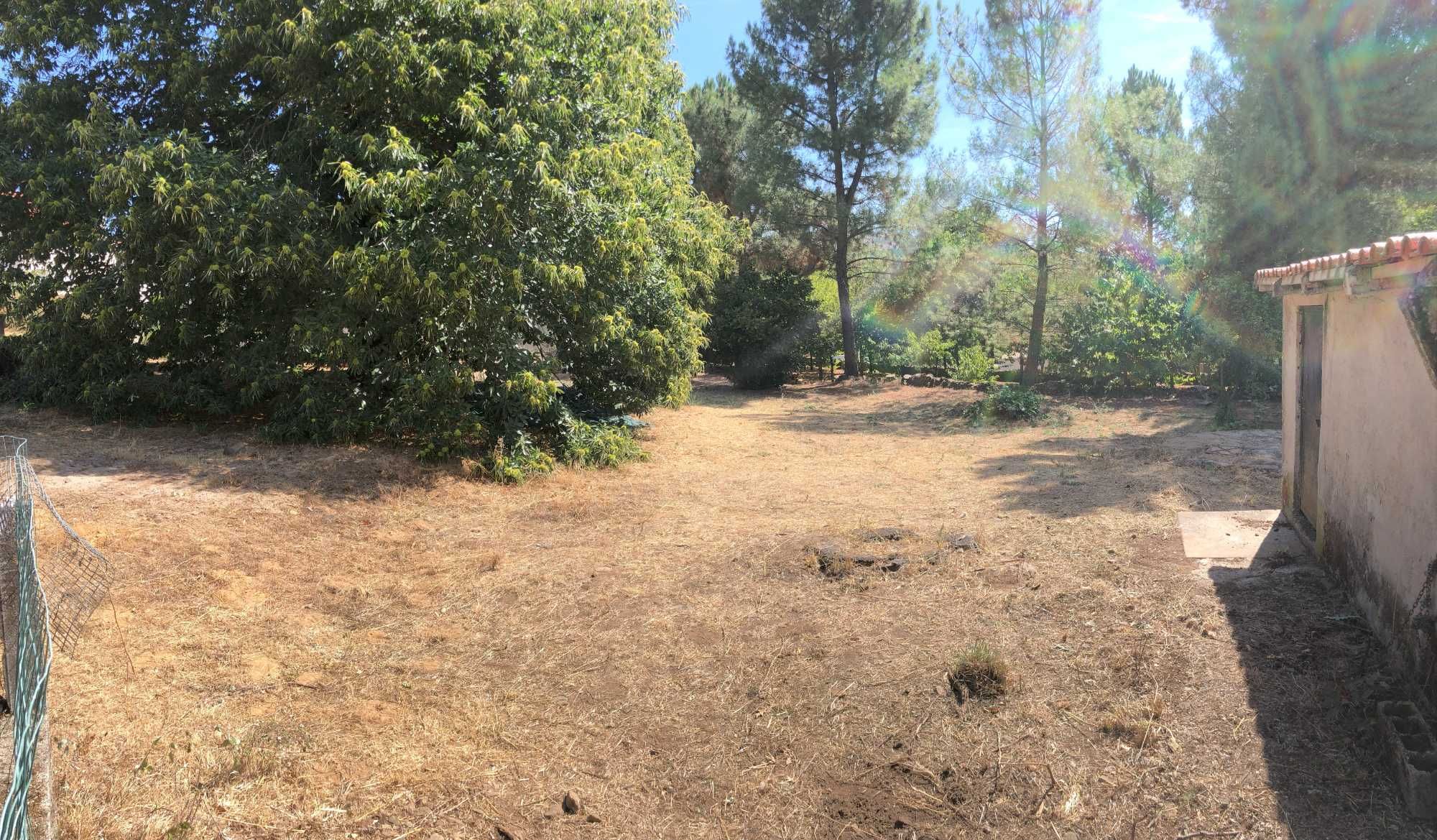 Moradia V6 com terreno para exploração