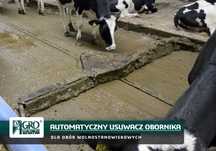 Automatyczny usuwacz obornika do obór wolnostanowiskowych Agrounima