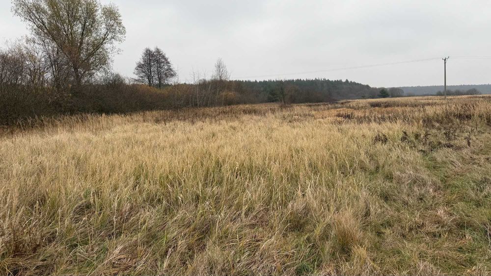 Działka rolna Siostrzytów woj. lubelskie