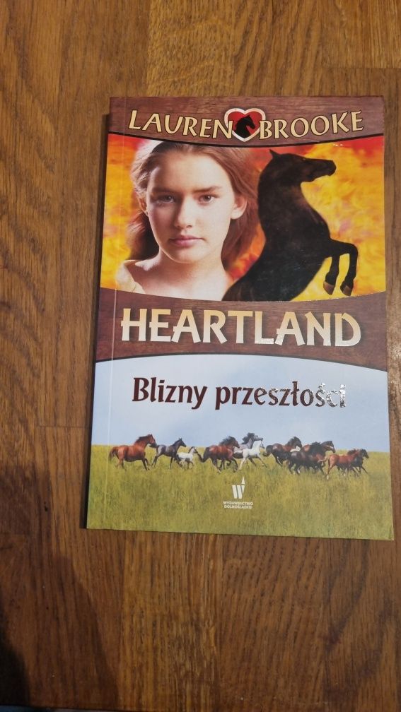 Zestaw książek Heartland zaklinacz koni Lauren Brooke 7 tomów