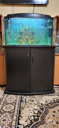 Продам аквариум с тумбой на 110 литров со всеми принадлежностями.