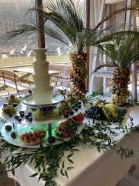 Fontanna czekoladowa,palma owocowa,dekoracje sali