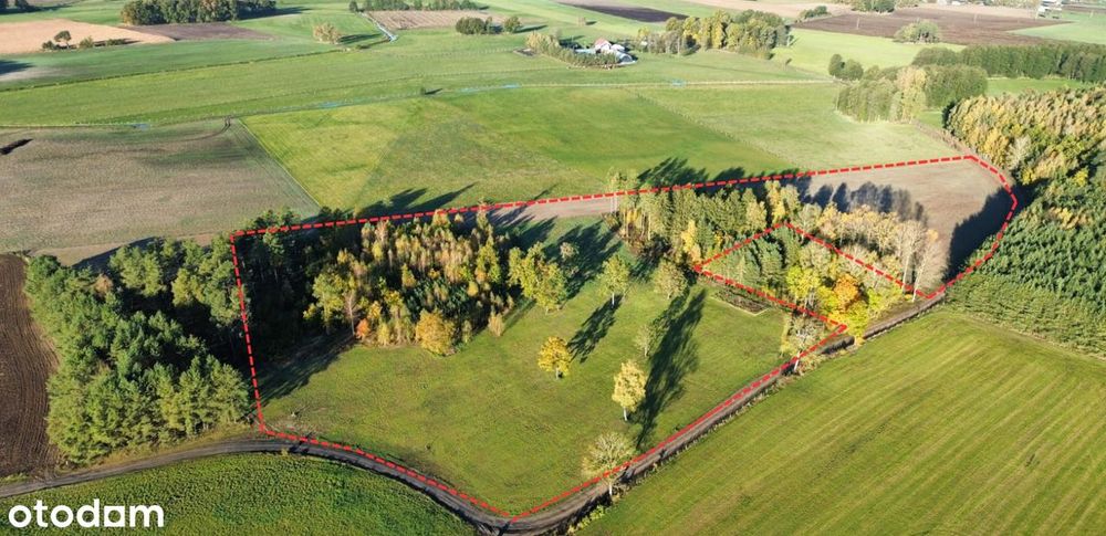 Suchorośl Stare – powrót do natury | 4,36 ha, gm. Świętajno