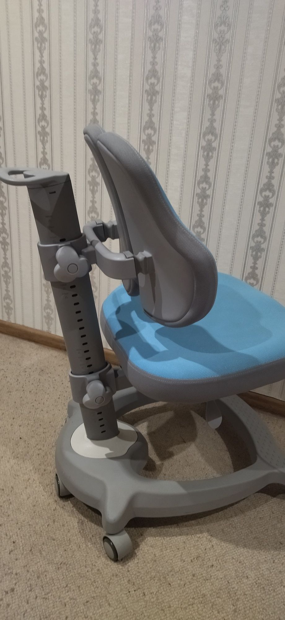 Крісло ортопедичне дитяче Diverso FunDesk Diverso Blue