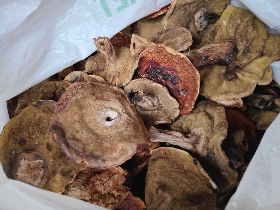 Гриби білі, сушені в печі 3 сорту