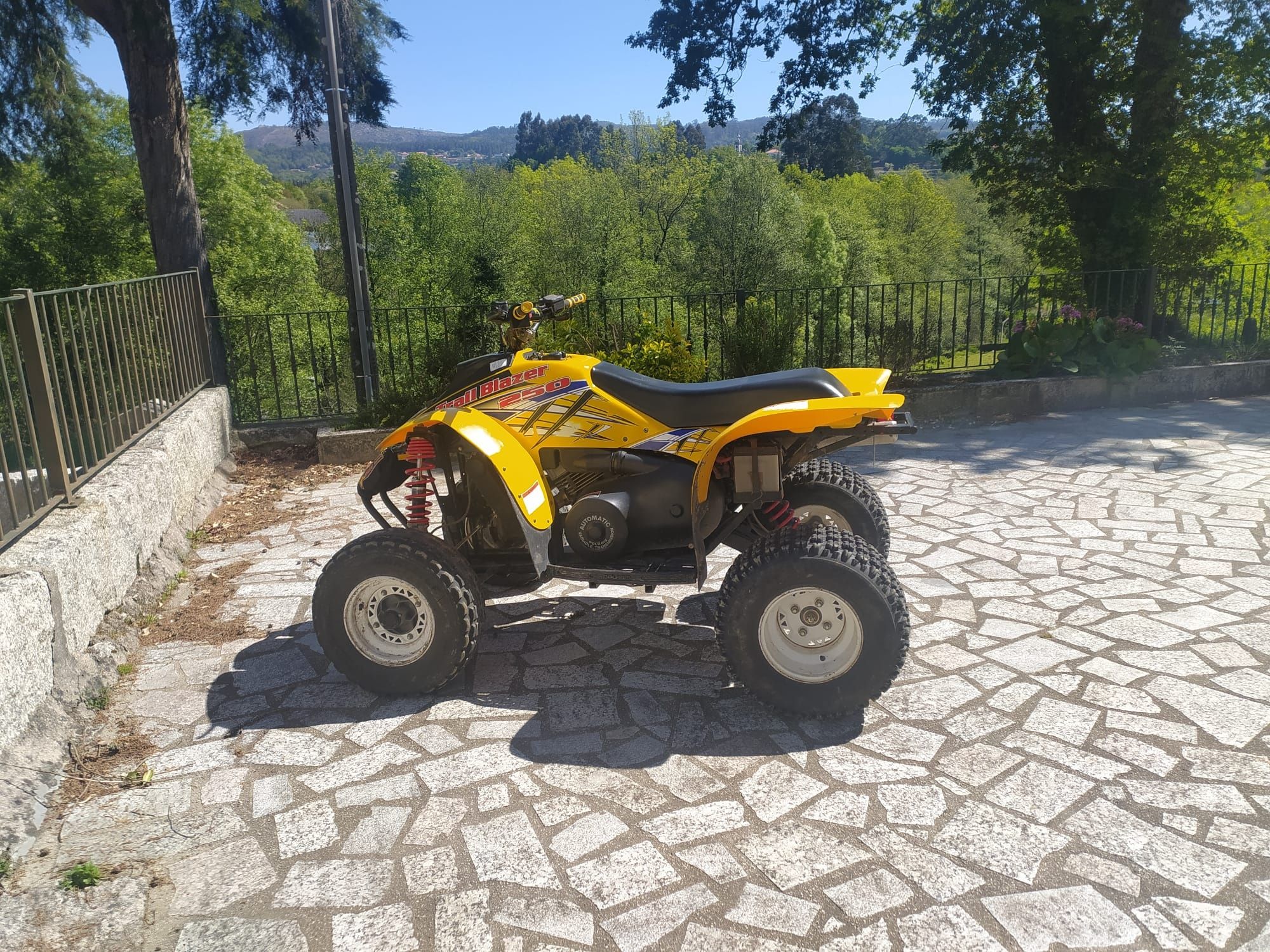 Polaris trailblazer 250