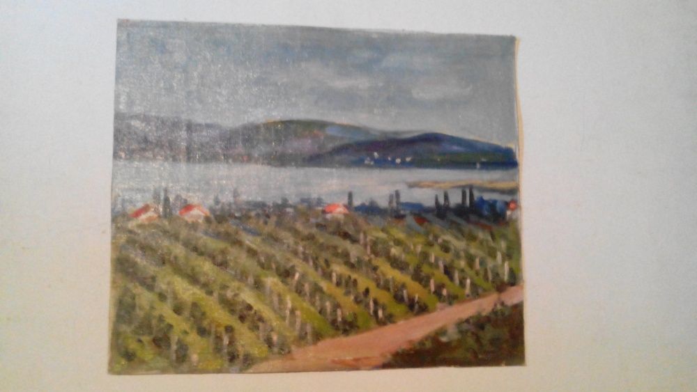 Крымские виноградники 1972г. Давид Варновицкий (1915)