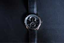 Relogio Festina edicao limitada como novo