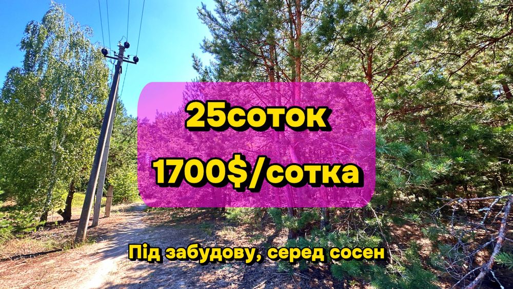 Земельна ділянка під забудову серед лісу та сосен! 30хв до Києва