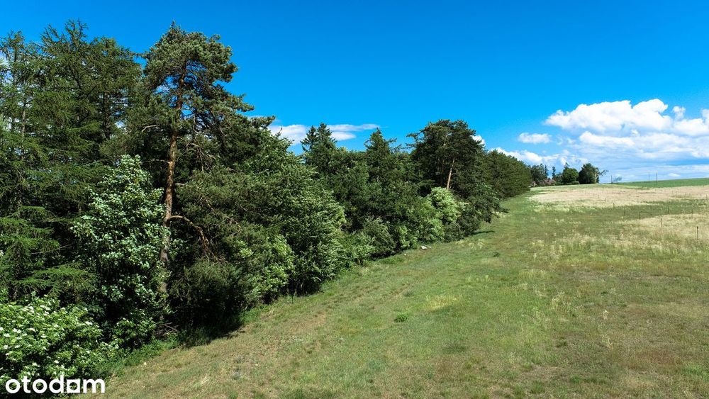 Działka budowlana przy Karwii