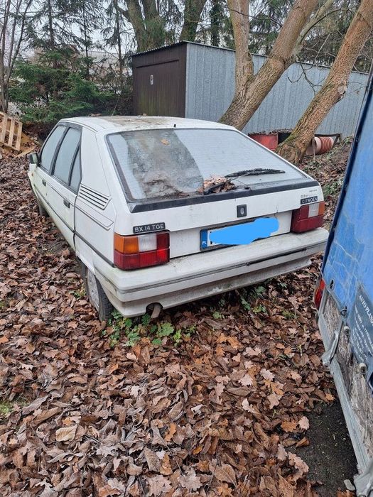 Citroen BX 1.4 TGE, 1990.