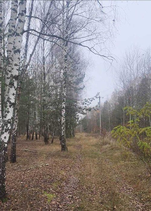 Ділянка  під  будівництво  біля  Лісу.