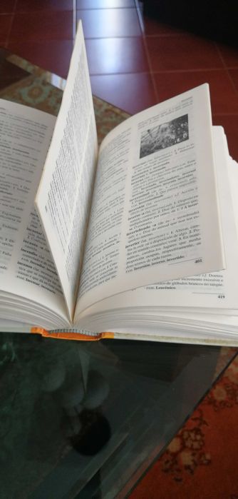 Dicionário Galego-Portugues