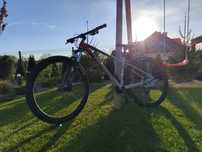 Rower młodzieżowy MTB Polygon Xtrada 5