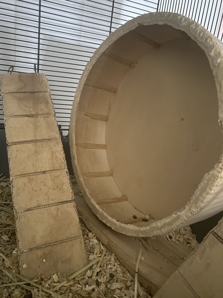Gaiola Grande Roedor