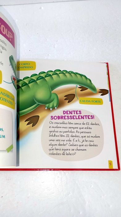 Kumbhira, A Crocodilo - Os maus animais do Zoo