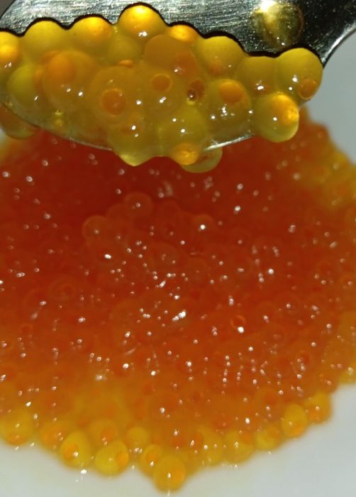 Ікра червона чорна