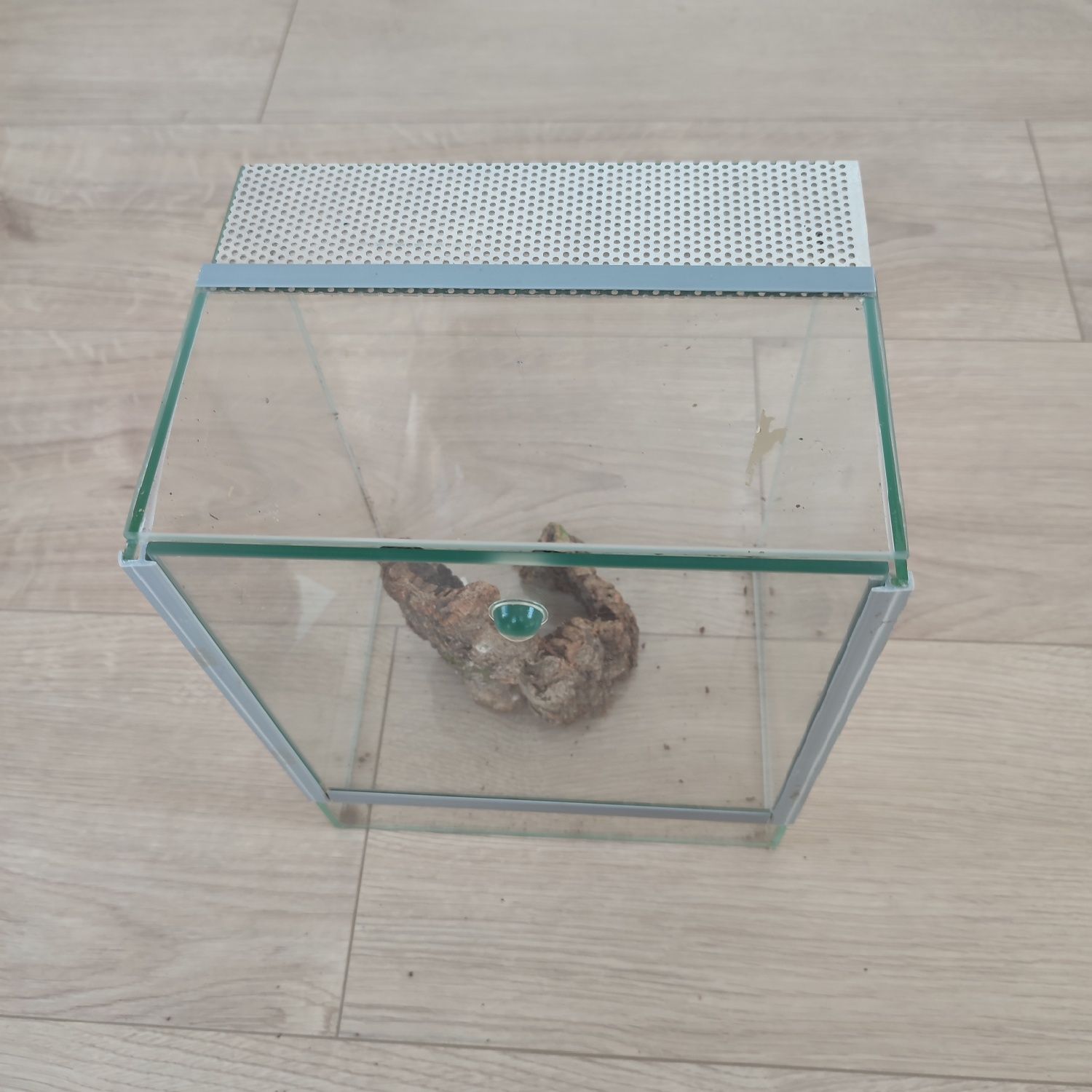 Terrarium szklane dla pająka owadów z gilotyną 25x20x15