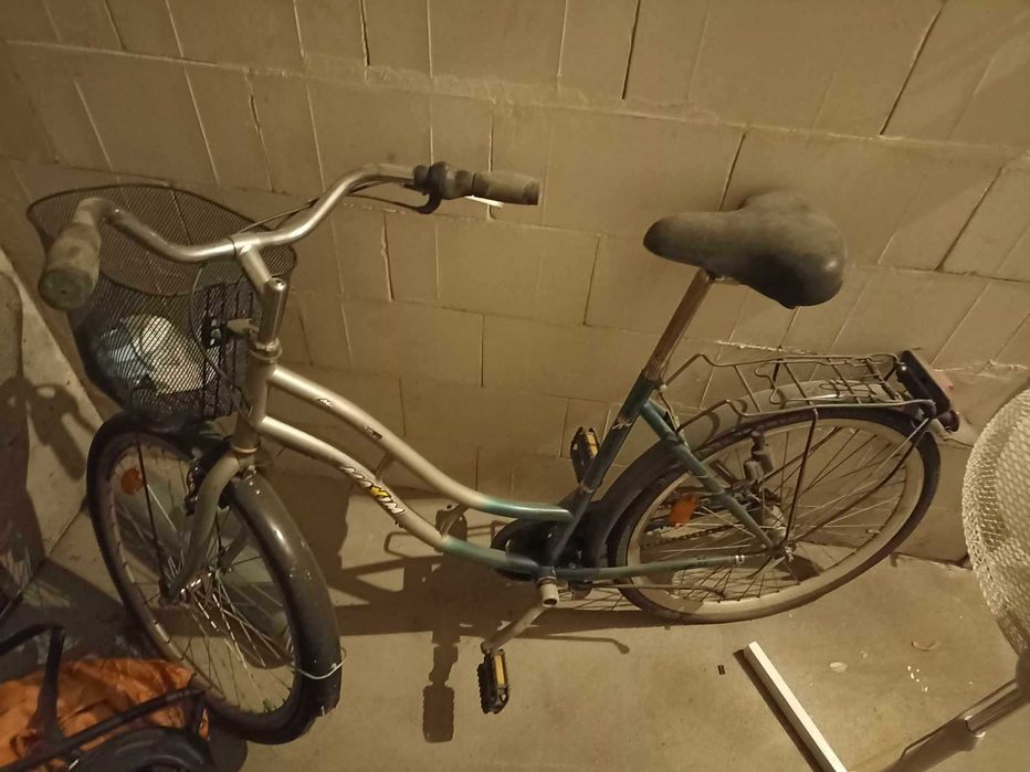 Stary rower, damka holenderska