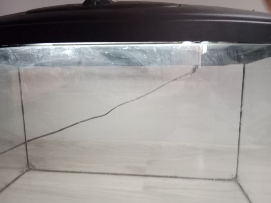 Akwarium(terarium)