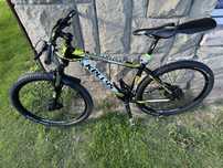 Kellys Spider 50