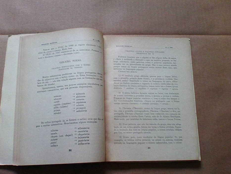 Dez anos em prol da língua portuguesa