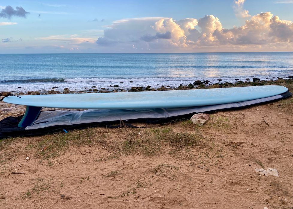 Longboard Skindog Double Scoop OG 9’4”