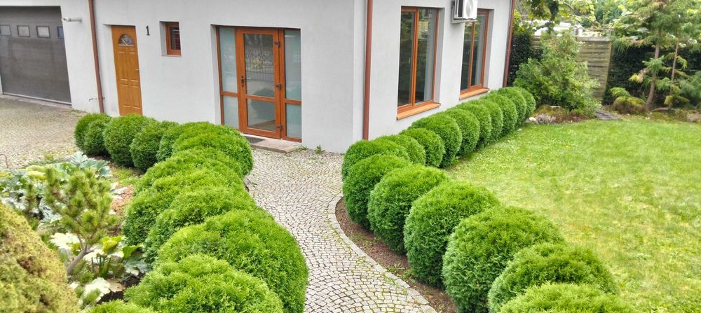 Lokal Biuro Gabinet Kobylnica Słupsk wynajmę