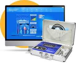 Check-up EIS (Electro Intersticial Scan  Completo