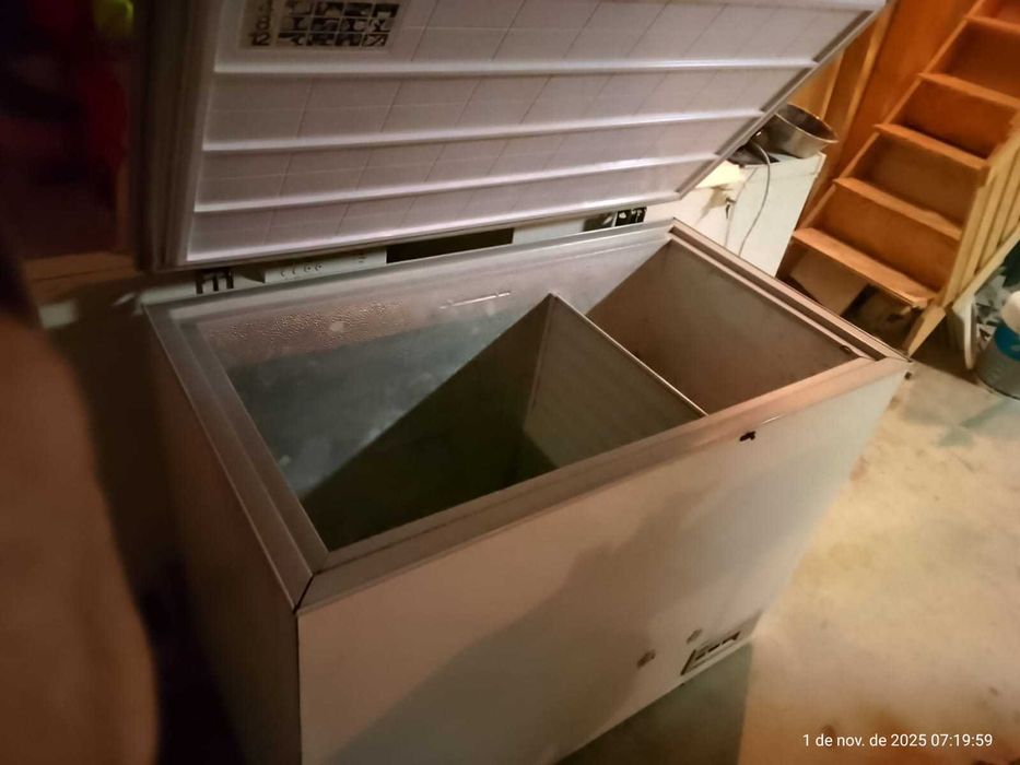 Freezer horizontal