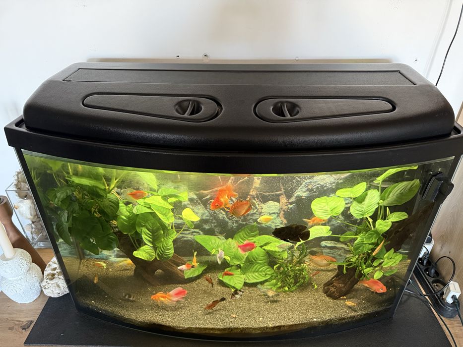 Akwarium 120l 80x50x40