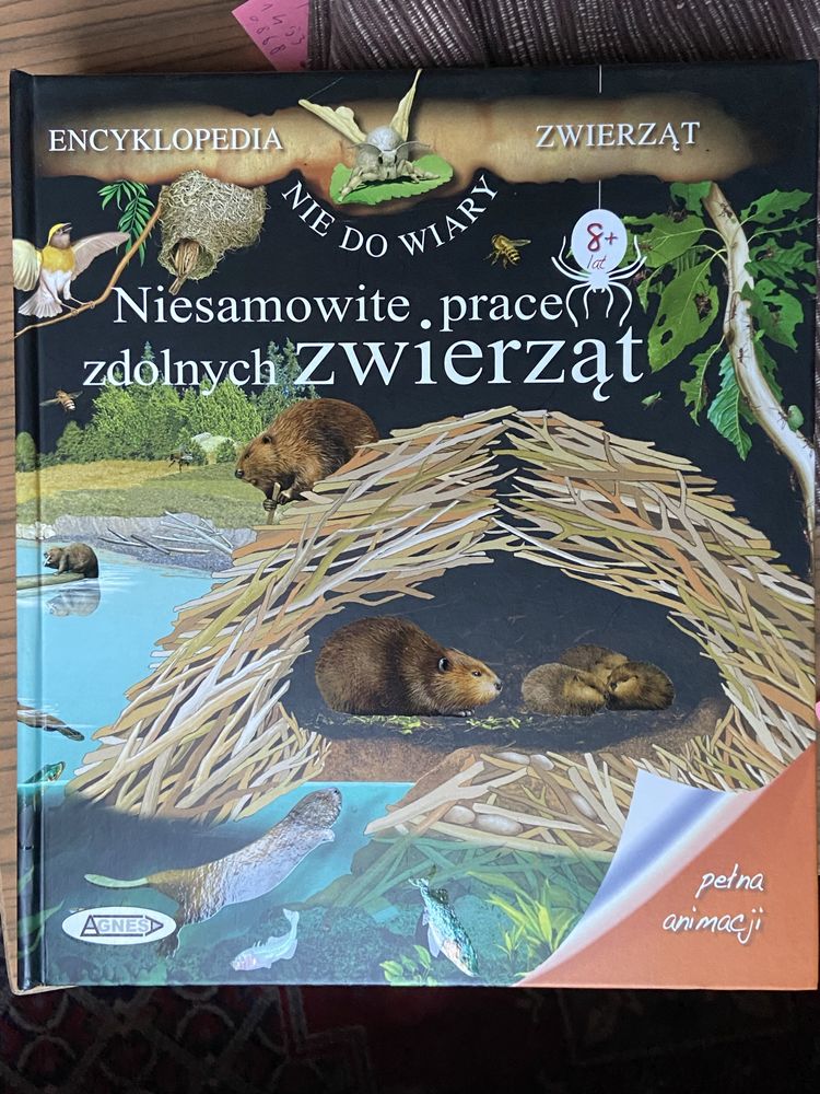 Niesamowite prace zdolnych zwierząt. Książka interaktywna