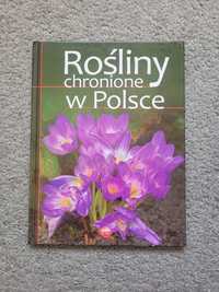 Rośliny chronione w Polsce