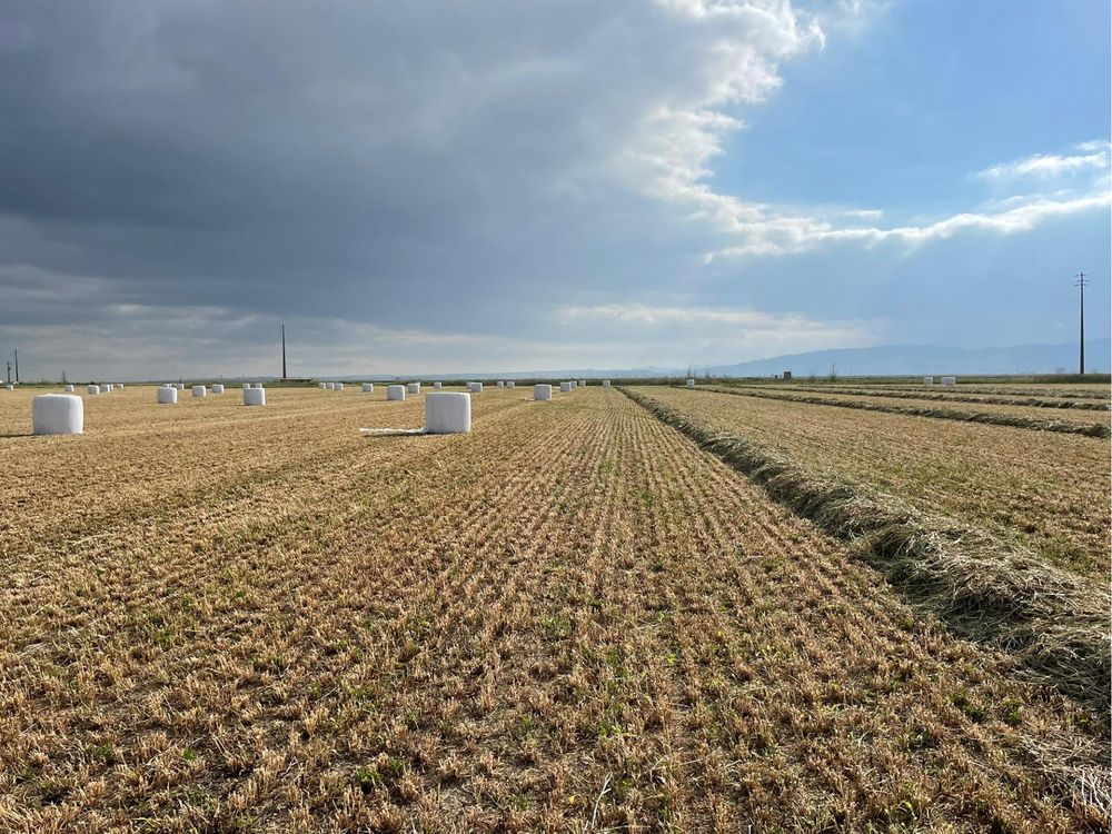 Bolas Fenosilagem Biológica da Lezíria de Vila Franca de Xira